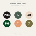 numbering-options-1x1